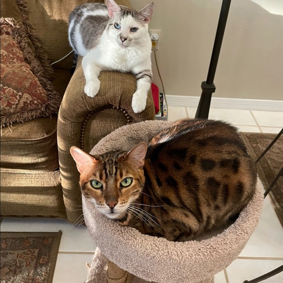 Meet your Posher, Phillip - Picture 1 of 1